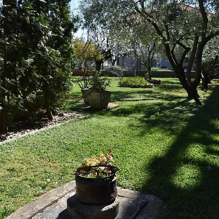 Apartment Dodo Zadar