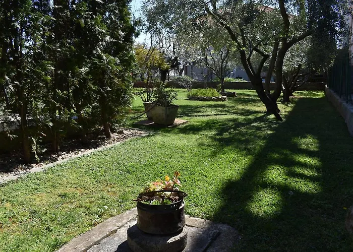 Апартаменты Dodo Задар